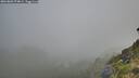 ./images/calvert/foggy-cove/20260803/foggy-cove20260803_074001M.jpg