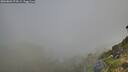 ./images/calvert/foggy-cove/20260803/foggy-cove20260803_074502M.jpg