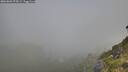 ./images/calvert/foggy-cove/20260803/foggy-cove20260803_075001M.jpg