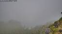 ./images/calvert/foggy-cove/20260803/foggy-cove20260803_075501M.jpg
