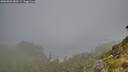 ./images/calvert/foggy-cove/20260803/foggy-cove20260803_080501M.jpg