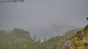 ./images/calvert/foggy-cove/20260803/foggy-cove20260803_081501M.jpg