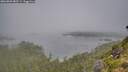 ./images/calvert/foggy-cove/20260803/foggy-cove20260803_082501M.jpg