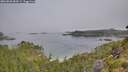 ./images/calvert/foggy-cove/20260803/foggy-cove20260803_084501M.jpg