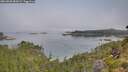 ./images/calvert/foggy-cove/20260803/foggy-cove20260803_085001M.jpg