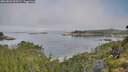 ./images/calvert/foggy-cove/20260803/foggy-cove20260803_090501M.jpg