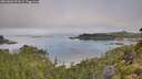 ./images/calvert/foggy-cove/20260803/foggy-cove20260803_091002M.jpg