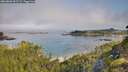 ./images/calvert/foggy-cove/20260803/foggy-cove20260803_092501M.jpg