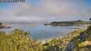 ./images/calvert/foggy-cove/20260803/foggy-cove20260803_093001M.jpg