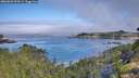 ./images/calvert/foggy-cove/20260803/foggy-cove20260803_094501M.jpg