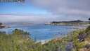./images/calvert/foggy-cove/20260803/foggy-cove20260803_095001M.jpg