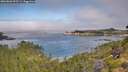 ./images/calvert/foggy-cove/20260803/foggy-cove20260803_095501M.jpg