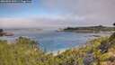 ./images/calvert/foggy-cove/20260803/foggy-cove20260803_100501M.jpg