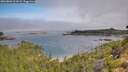 ./images/calvert/foggy-cove/20260803/foggy-cove20260803_101001M.jpg