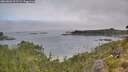 ./images/calvert/foggy-cove/20260803/foggy-cove20260803_101501M.jpg