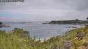 ./images/calvert/foggy-cove/20260803/foggy-cove20260803_102501M.jpg