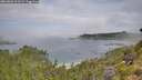 ./images/calvert/foggy-cove/20260803/foggy-cove20260803_103501M.jpg