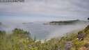 ./images/calvert/foggy-cove/20260803/foggy-cove20260803_104501M.jpg