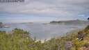 ./images/calvert/foggy-cove/20260803/foggy-cove20260803_105501M.jpg