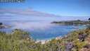 ./images/calvert/foggy-cove/20260803/foggy-cove20260803_111002M.jpg