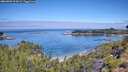 ./images/calvert/foggy-cove/20260803/foggy-cove20260803_112002M.jpg