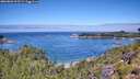 ./images/calvert/foggy-cove/20260803/foggy-cove20260803_115501M.jpg
