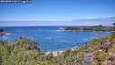 ./images/calvert/foggy-cove/20260803/foggy-cove20260803_121001M.jpg