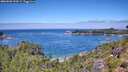 ./images/calvert/foggy-cove/20260803/foggy-cove20260803_122001M.jpg