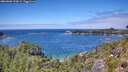 ./images/calvert/foggy-cove/20260803/foggy-cove20260803_132001M.jpg
