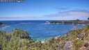 ./images/calvert/foggy-cove/20260803/foggy-cove20260803_132501M.jpg