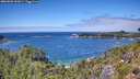 ./images/calvert/foggy-cove/20260803/foggy-cove20260803_133001M.jpg