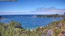 ./images/calvert/foggy-cove/20260803/foggy-cove20260803_133501M.jpg