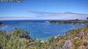 ./images/calvert/foggy-cove/20260803/foggy-cove20260803_135001M.jpg