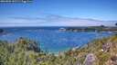 ./images/calvert/foggy-cove/20260803/foggy-cove20260803_141501M.jpg