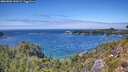 ./images/calvert/foggy-cove/20260803/foggy-cove20260803_142001M.jpg
