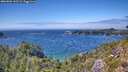 ./images/calvert/foggy-cove/20260803/foggy-cove20260803_145501M.jpg