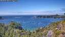 ./images/calvert/foggy-cove/20260803/foggy-cove20260803_150501M.jpg