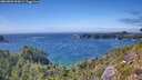 ./images/calvert/foggy-cove/20260803/foggy-cove20260803_154501M.jpg