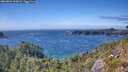 ./images/calvert/foggy-cove/20260803/foggy-cove20260803_155001M.jpg