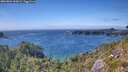 ./images/calvert/foggy-cove/20260803/foggy-cove20260803_160001M.jpg