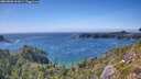 ./images/calvert/foggy-cove/20260803/foggy-cove20260803_162001M.jpg