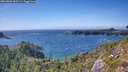 ./images/calvert/foggy-cove/20260803/foggy-cove20260803_163501M.jpg