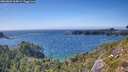 ./images/calvert/foggy-cove/20260803/foggy-cove20260803_164002M.jpg