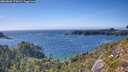 ./images/calvert/foggy-cove/20260803/foggy-cove20260803_170001M.jpg