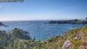 ./images/calvert/foggy-cove/20260803/foggy-cove20260803_172501M.jpg