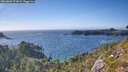 ./images/calvert/foggy-cove/20260803/foggy-cove20260803_173001M.jpg