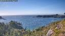 ./images/calvert/foggy-cove/20260803/foggy-cove20260803_173501M.jpg