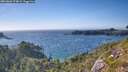 ./images/calvert/foggy-cove/20260803/foggy-cove20260803_174002M.jpg