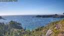 ./images/calvert/foggy-cove/20260803/foggy-cove20260803_174501M.jpg