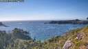 ./images/calvert/foggy-cove/20260803/foggy-cove20260803_175001M.jpg